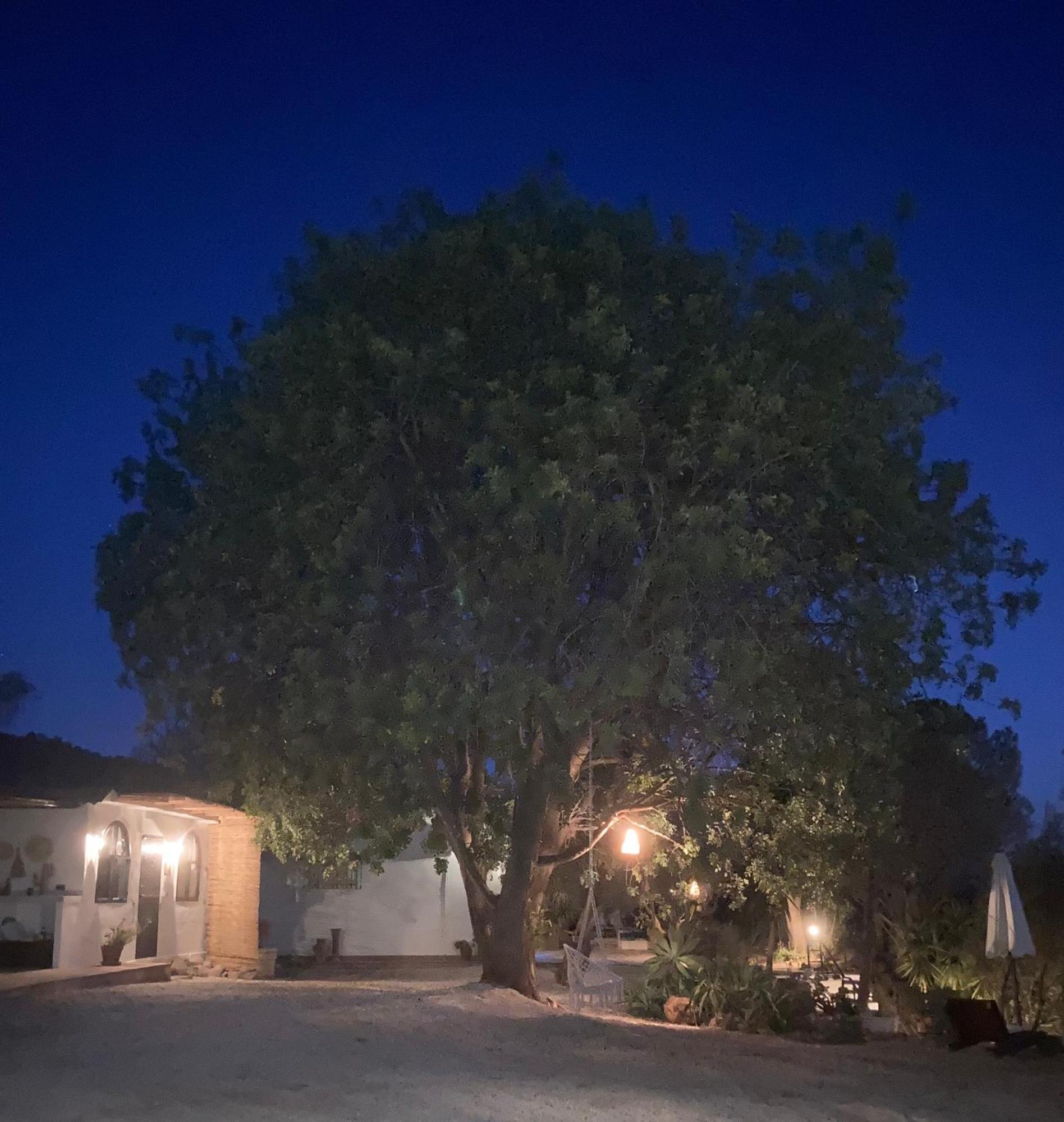 Casa Del Sueno Bed & Breakfast Alora Exterior photo
